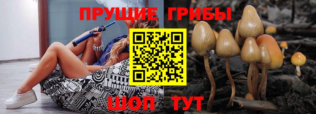 Псилоцибиновые грибы Magic Shrooms Гусиноозёрск
